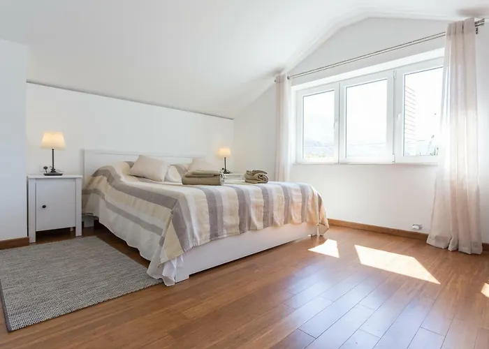 Fortunei Guest house